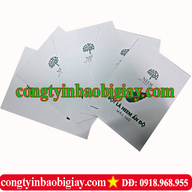 In túi đựng bột| baobimangghep.com